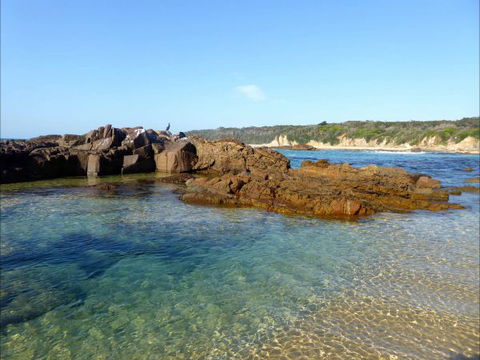 Tilba Coastal Retreat - Accommodation BNB 6