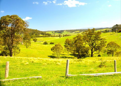 Tilba Coastal Retreat - Accommodation BNB 9