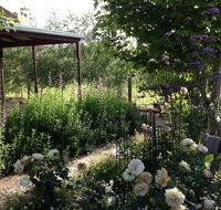 Wandana Bed and Breakfast