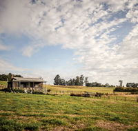 Wines for Joanie Cottage - Accommodation BNB
