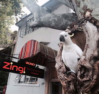 Zing Backpackers Hostel - Accommodation BNB