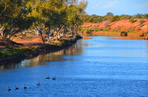 Murchison Oasis Roadhouse, Motel, Caravan Park - Accommodation BNB 2