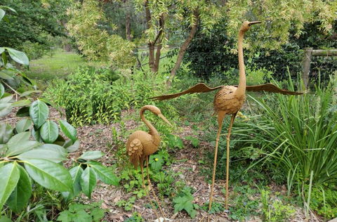 Ferny Hill Retreat - Accommodation BNB 1