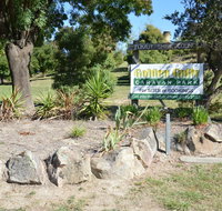 Adelong Golden Gully Caravan Park - Accommodation BNB