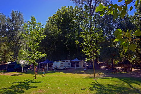 Ardern's Caravan Park Myrtleford - Accommodation BNB 0