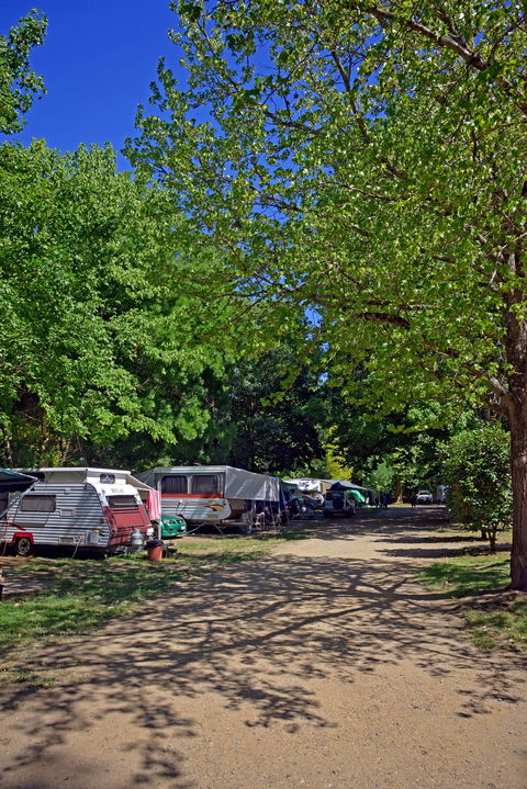 Ardern's Caravan Park Myrtleford - Accommodation BNB 1