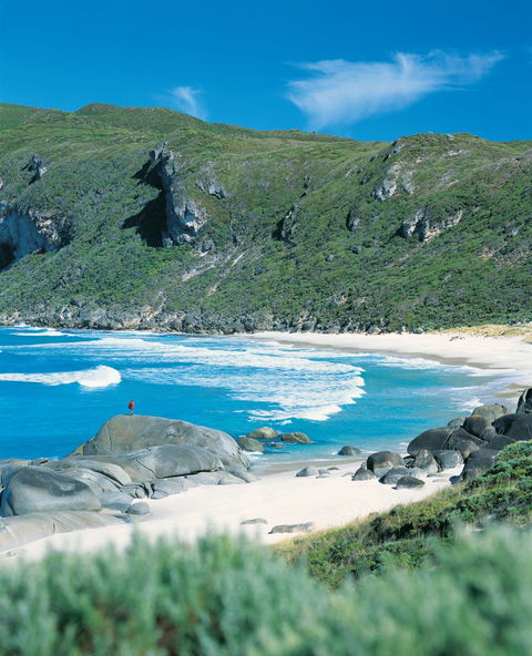 Banksia Camp At D'Entrecasteaux National Park - Accommodation BNB 0