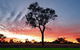 Cunnamulla Tourist Park - thumb 3