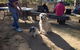 Cunnamulla Tourist Park - thumb 4
