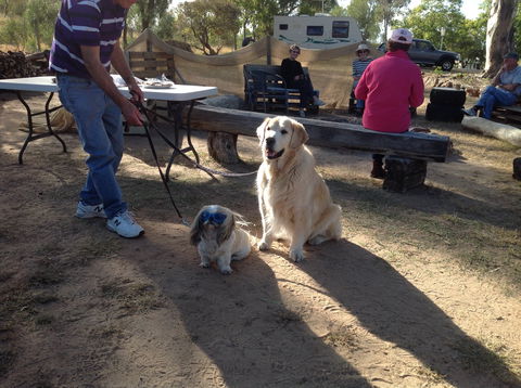 Cunnamulla Tourist Park - Accommodation BNB 4