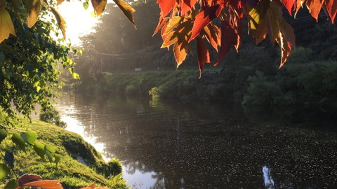 Forth River Cottage - Accommodation BNB 4