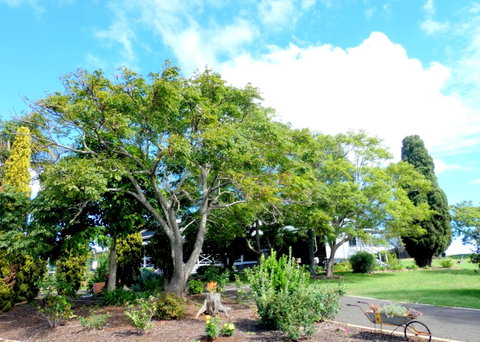 Forest Lodge Highfields - Accommodation BNB 3
