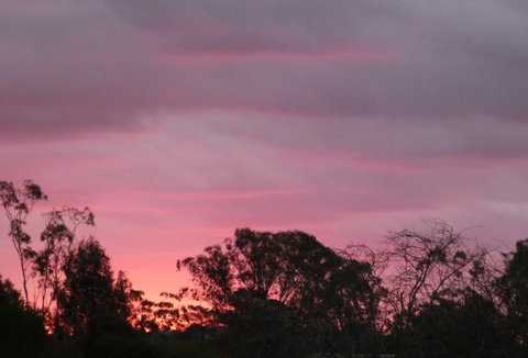 Forest Lodge Highfields - Accommodation BNB 4