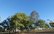 Forest Lodge Highfields - thumb 6