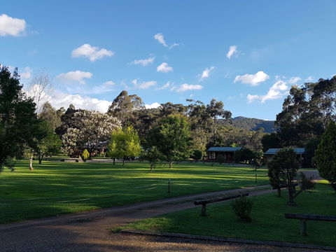 Harrietville Cabins And Caravan Park - Accommodation BNB 4