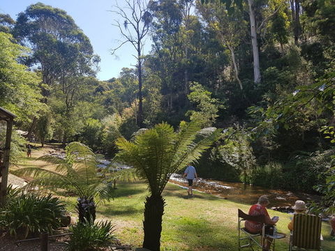 Harrietville Cabins And Caravan Park - Accommodation BNB 7