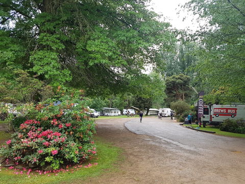 Harrietville Cabins And Caravan Park - Accommodation BNB 8