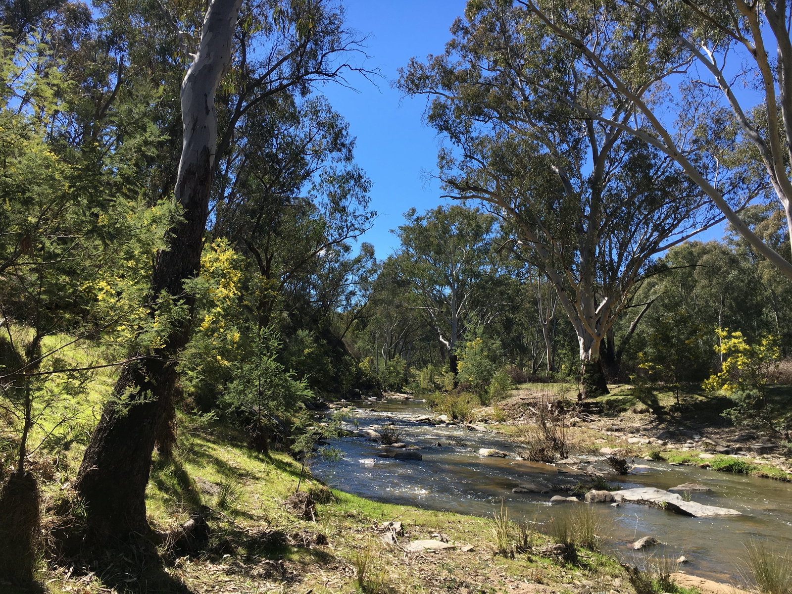 Mount Adrah NSW Accommodation BNB