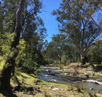 Highfield Farm and Woodland Bush Campsites - Accommodation BNB