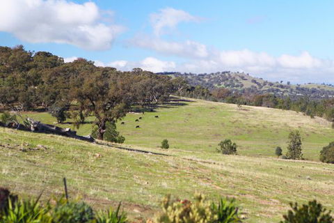 Longview Holiday Let Glenrowan - Accommodation BNB 5