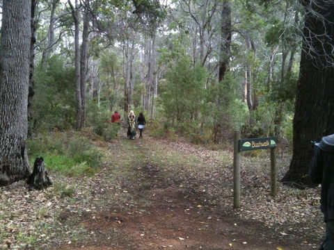 Margaret River Chalets - Accommodation BNB 2