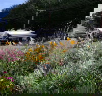 Millicent Showground RV Park - Accommodation BNB