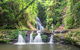 O'Reilly's Rainforest Retreat - thumb 0