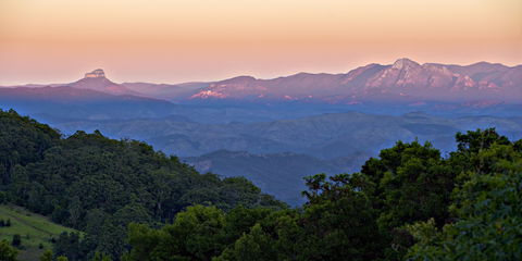 O'Reilly's Rainforest Retreat - Accommodation BNB 1