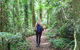 O'Reilly's Rainforest Retreat - thumb 5