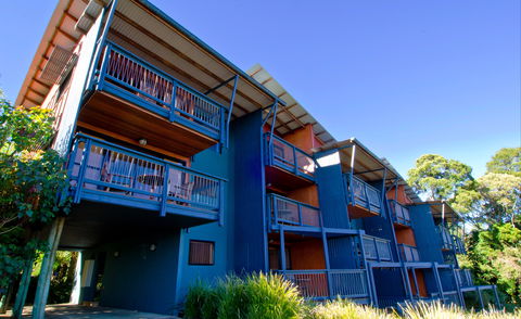 O'Reilly's Rainforest Retreat - Accommodation BNB 7