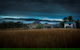 Roseneath  Farm Stay - thumb 3