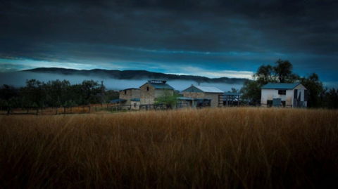 Roseneath  Farm Stay - Accommodation BNB 3