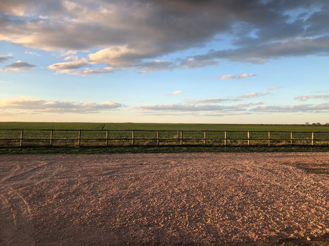 Tarnasey Farm - Schilling's Shack - Accommodation BNB 8