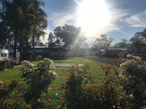 Wine Country Tourist Park - Accommodation BNB 2
