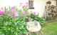 Aggies Bed And Breakfast - thumb 2
