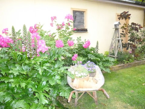 Aggies Bed And Breakfast - Accommodation BNB 2