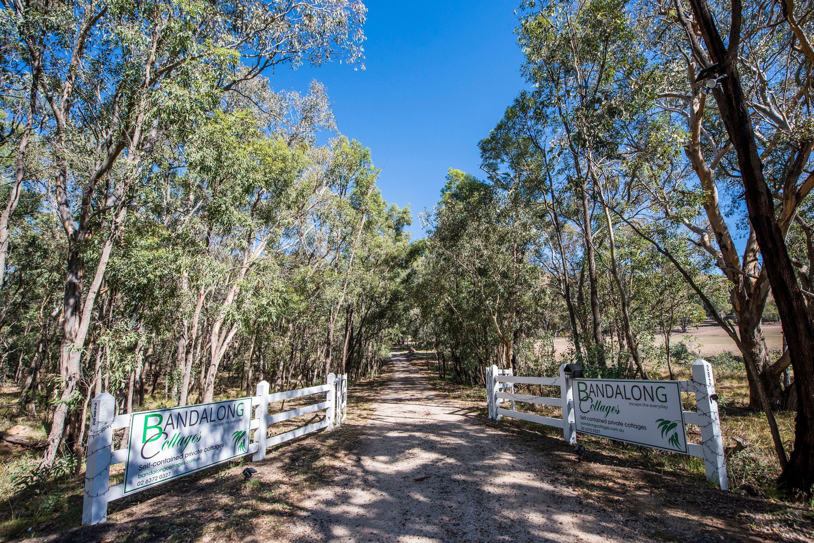 Wilbetree NSW Accommodation BNB
