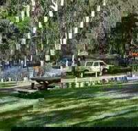 Chaelundi campground - Accommodation BNB
