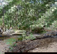 Eungella National Park camping