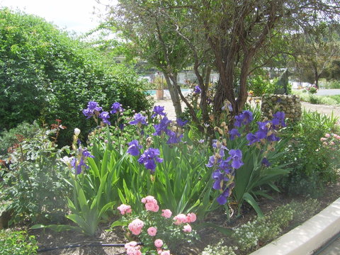 Garden Motor Inn (Golden Chain) - Accommodation BNB 7
