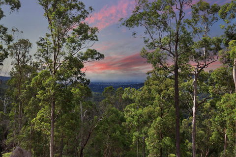 Gold Coast Tree Houses - Accommodation BNB 2