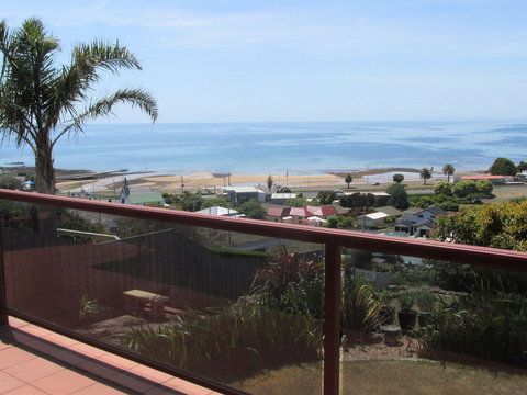 High On Penguin - Accommodation BNB 1