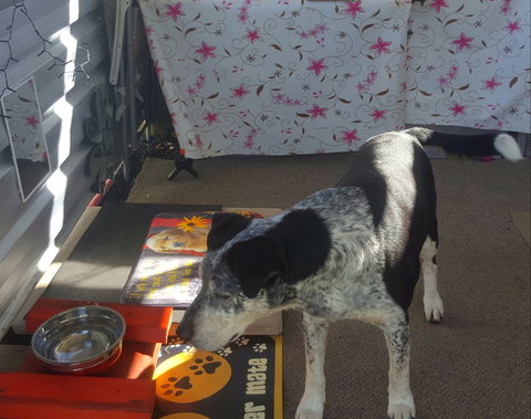 Meeniyan Motel And Bike Hire - Accommodation BNB 2