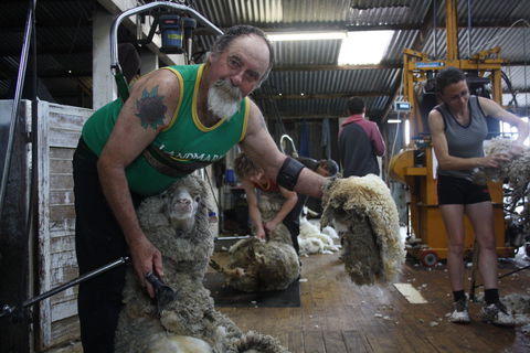 Rabbiters Hut - Accommodation BNB 5