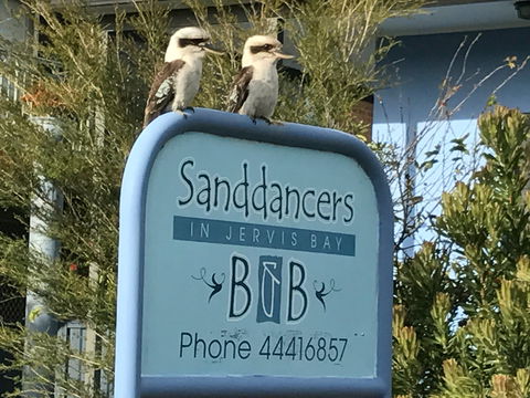 Sanddancers Bed And Breakfast In Jervis Bay - Accommodation BNB 1