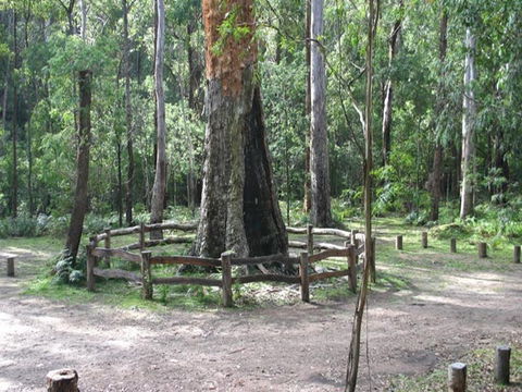 Six Mile Creek Campground - Accommodation BNB 0