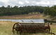 Terab Park Farm - thumb 4