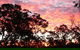 Terab Park Farm - thumb 5
