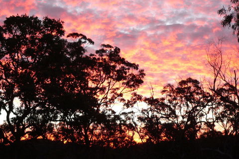 Terab Park Farm - Accommodation BNB 5