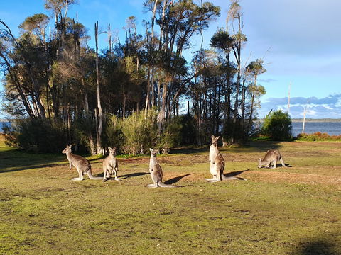 Waterfront Retreat At Wattle Point - Accommodation BNB 2
